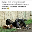 ���� ��������, ��������, 50 ��� - ��������� 16 ��� 2018