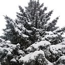 ���� ������, ����� ������, 58 ��� - ��������� 21 ������ 2018 � ������ �������� 21.01.2018 �.�