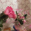 ���� ���������� ����������, �������� - ��������� 3 ����� 2018