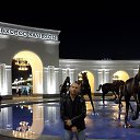 ���� �������, �������, 43 ���� - ��������� 5 ��� 2018 � ������ ���� ����������