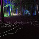 ���� �������, �������, 38 ��� - ��������� 15 ������ 2018 � ������ ���� ����������