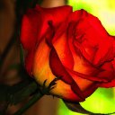 ���� Lady!, ������ - ��������� 16 ������� 2017 � ������ �cveti�
