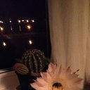 ���� Olga, ������������ - ��������� 18 ����� 2018 � ������ ���� ����������