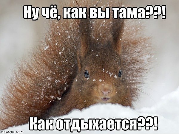    ...... !
