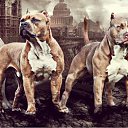 ���� Vlad, ����� - ��������� 15 ������� 2017 � ������ �������