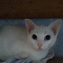 ���� Meg@11man, ������, 40 ��� - ��������� 9 ������ 2018 � ������ ���� ����������