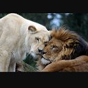 ���� R, ������� - ��������� 25 ������� 2018 � ������ ���� ����������