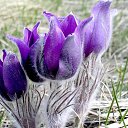 ���� Vera, ������ - ��������� 14 ������� 2018 � ������ ������ ��������