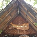 ���� ���������, ��������, 40 ��� - ��������� 17 ������� 2017 � ������ ���� ����������