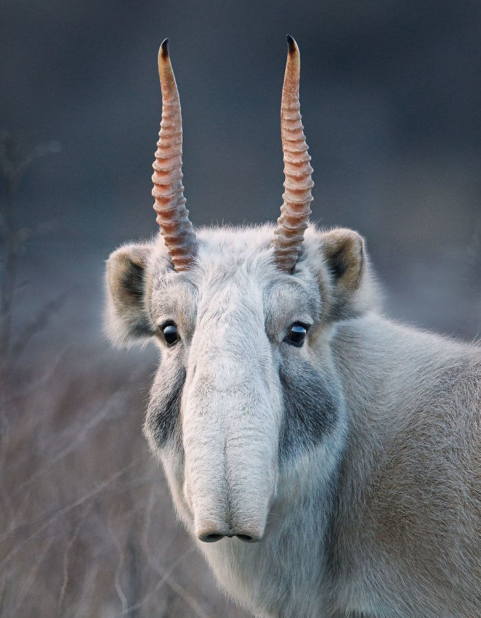     (Tim Flach)          ...