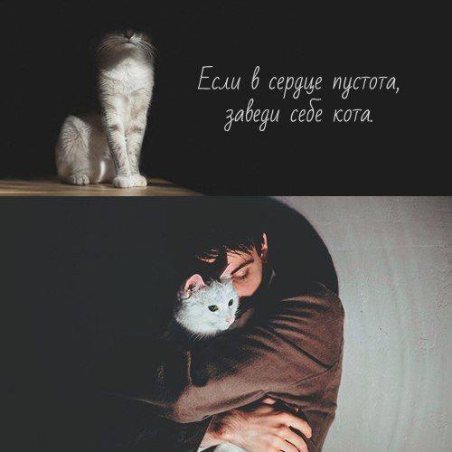    - 14  2018  07:08