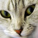 ���� Mity, ������, 44 ���� - ��������� 15 ������ 2018 � ������ ���� ����������