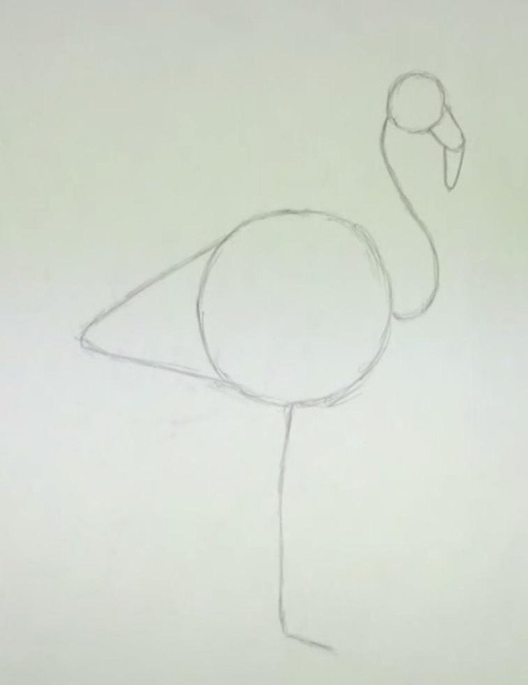   - 3