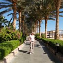 ���� ��, ���������, 71 ��� - ��������� 22 ������� 2017