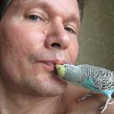 ���� ��������, ������, 68 ��� - ��������� 4 ����� 2018 � ������ ���� ������