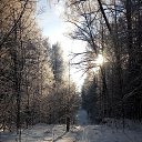 �� ������ �������� �� ������� ���� ����������