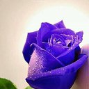 ���� �����, ����������, 68 ��� - ��������� 7 ������� 2018 � ������ ���� ����������