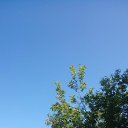 ���� �������, ������ ��������, 66 ��� - ��������� 18 ���� 2018 � ������ ������ ��������