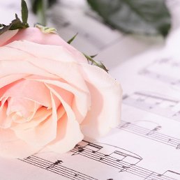 ��������, ������, 61 ���