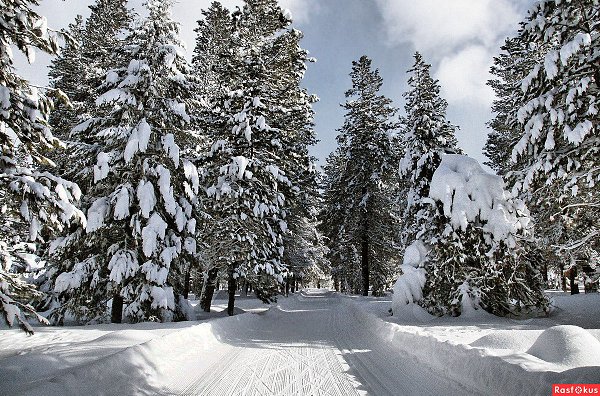 ����� ������ �������, ���� � �����, �� ����� ������, � ����� ����, � ����� ��� � ������� � ������!.