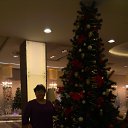 02.12.2017�-������ �� ������� ���� ����������