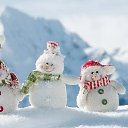 ���� �, ������, 56 ��� - ��������� 2 ������� 2017 � ������ ���� ����������