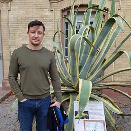 Nicolae, , 41 