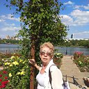 ���� �������, ������, 68 ��� - ��������� 17 ���� 2018 � ������ ���� ����������