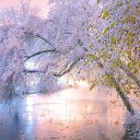 ���� ���������������������, ����, 53 ���� - ��������� 20 ������ 2018 � ������ ���� ����������