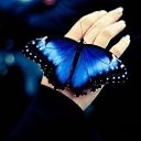 ���� L, ������� - ��������� 27 ���� 2018 � ������ ���� ����������