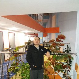 ����, �����-��������, 55 ���