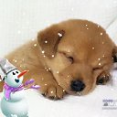 ���� ������, �������, 48 ��� - ��������� 9 ����� 2018 � ������ ���� ����������