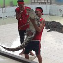 ���� �������, ������ ��������, 54 ���� - ��������� 4 ����� 2018 � ������ ����� 2017�