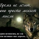 ���� Alekcandr, ������ - ��������� 1 ���� 2018 � ������ �������� ��������