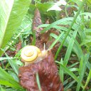 ���� �������, �����, 47 ��� - ��������� 7 ������� 2018 � ������ ���� ����������