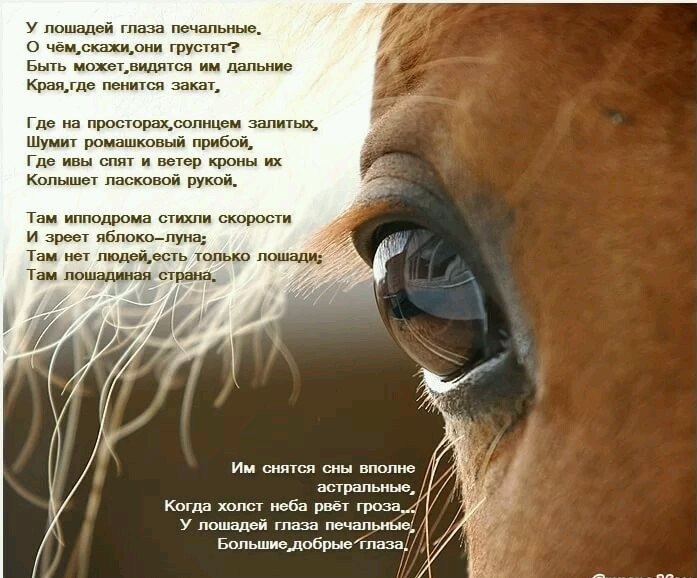 ***Victoria Viktorovna*** - 21  2018  07:34