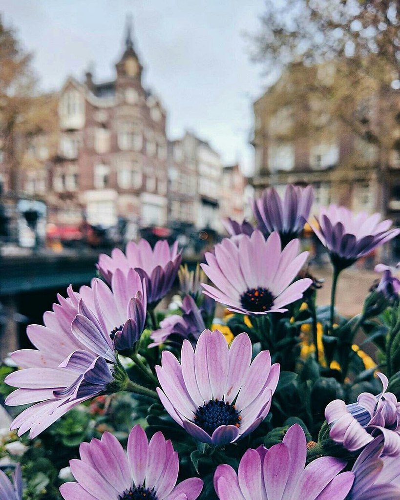 Amsterdam, The Netherlands - 4