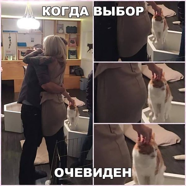    :D - 9  2017  03:49