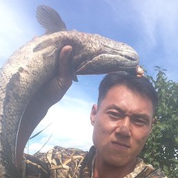 ���� Lung, �����������, 41 ��� - ��������� 1 ������ 2018