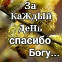 ���� ���������, �������� - ��������� 25 ��� 2018 � ������ ���� ���