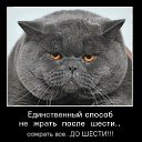���� Valeri, ������ - ��������� 7 ������� 2018 � ������ ������ ��������