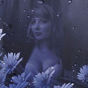 �����, 41 ���, �����������