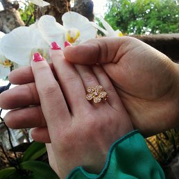 ���������, �����������, 51 ���