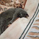 ���� ������, �������� - ��������� 3 ������ 2018 � ������ ������ ��������