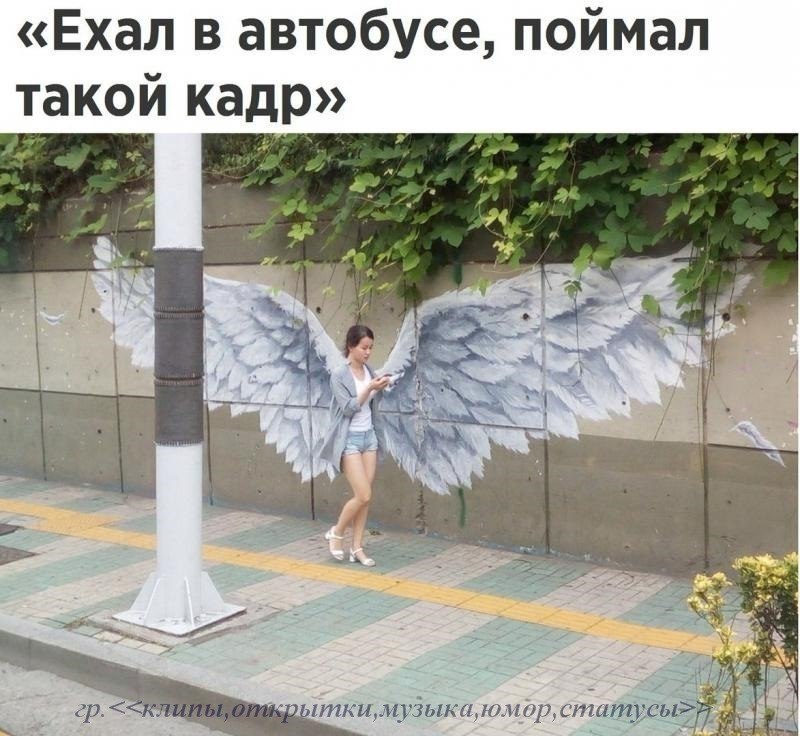 World History - 29  2017  05:46