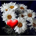 ���� Extasy, ����� - ��������� 17 ������ 2018 � ������ ��������