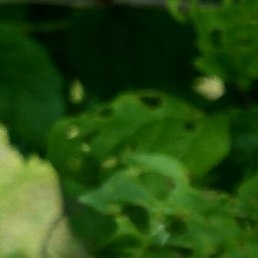 ������, �������-���������, 39 ���