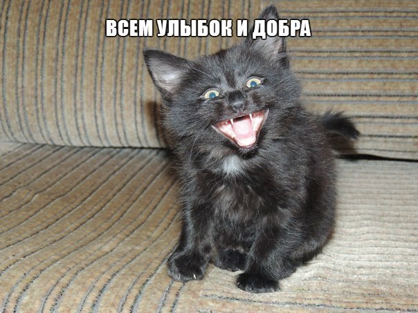 )))