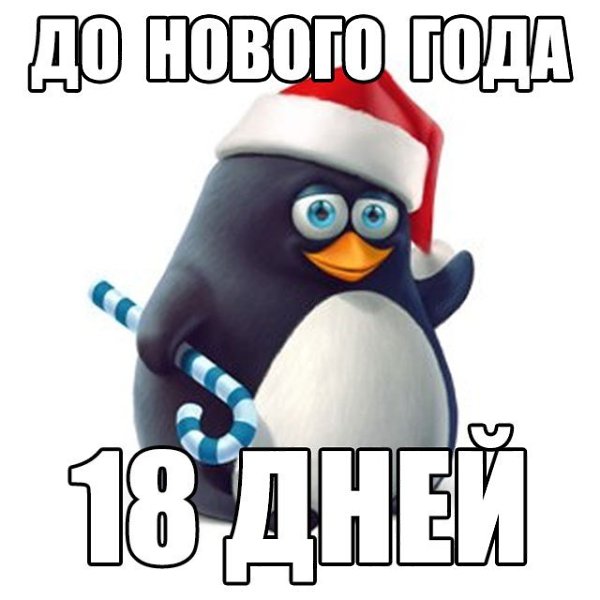   - 13  2017  03:41