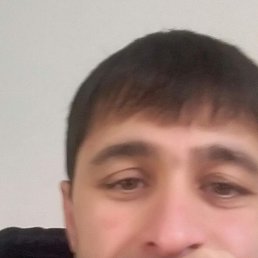 �������, ������, 37 ���